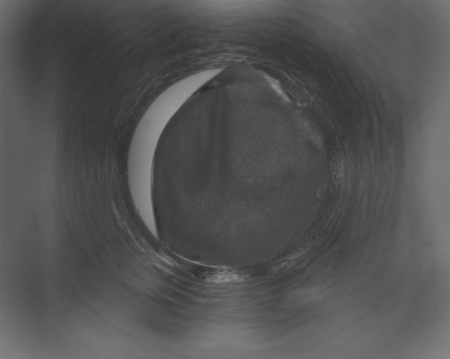 X0000073390759200608181003