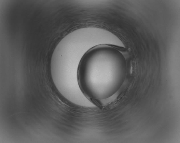 X0000073390760200608181003