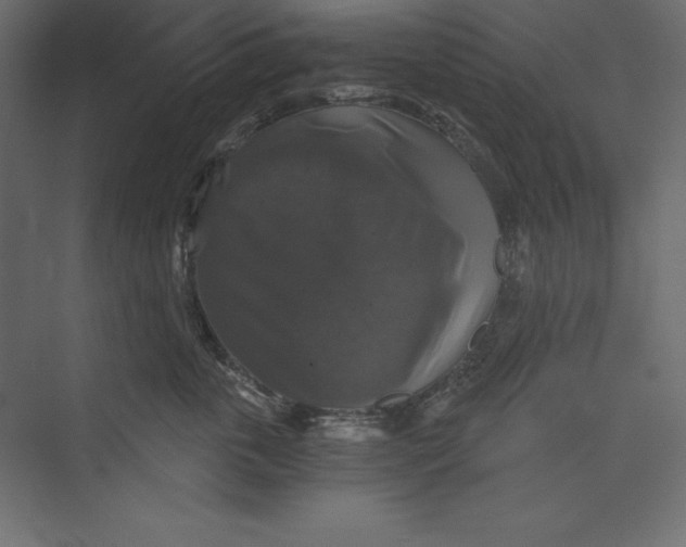 X0000073390763200608181003