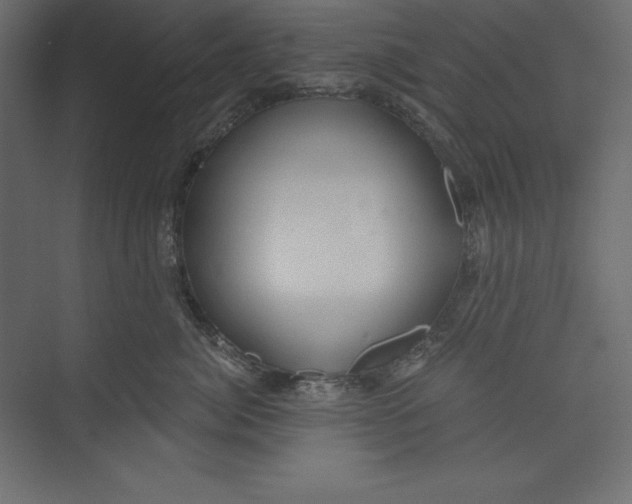 X0000073390764200608181003