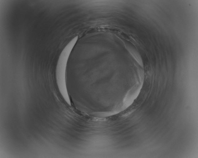 X0000073390767200608181003