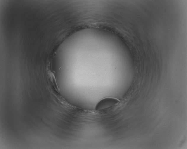 X0000073390768200608181003
