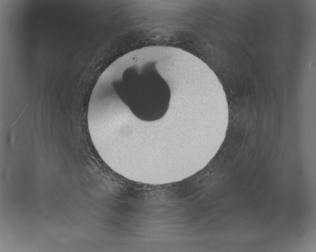 X0000073390769200608181002