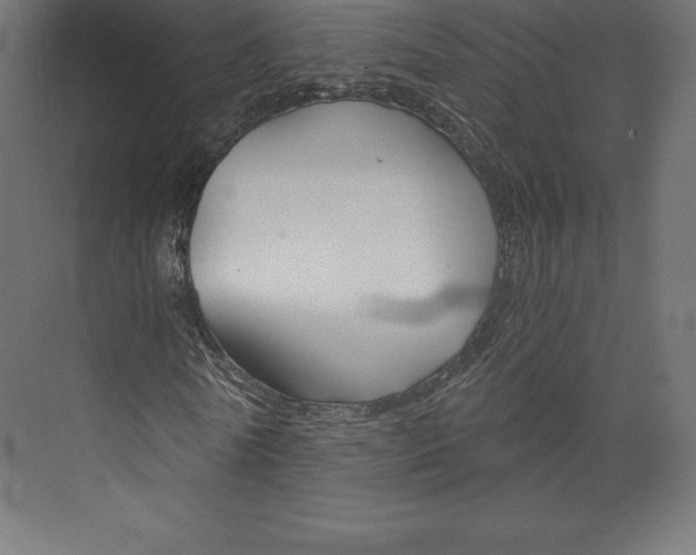 X0000073390770200608181002