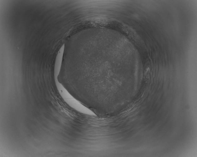 X0000073390772200608181002
