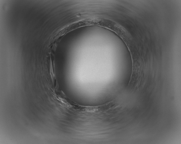 X0000073390773200608181002