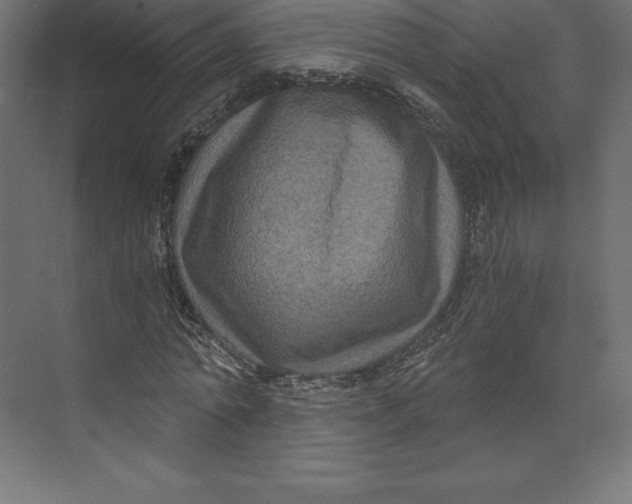 X0000073390774200608181002