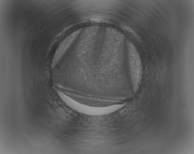 X0000073390776200608181002