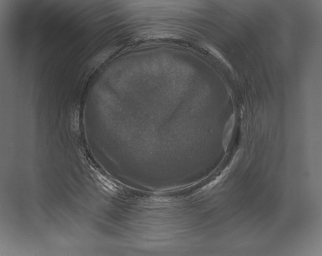 X0000073390777200608181002