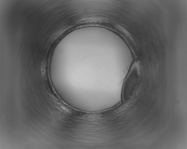 X0000073390778200608181002