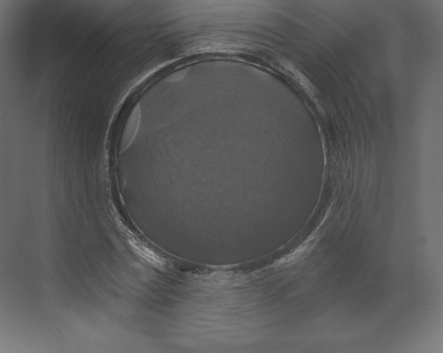 X0000073390779200608181002