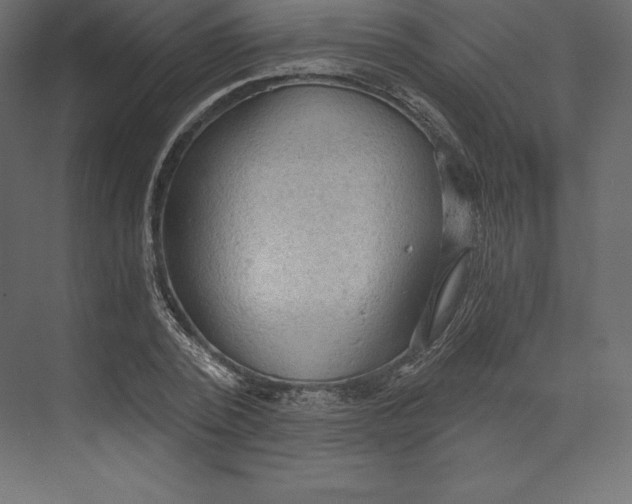 X0000073390784200608181002