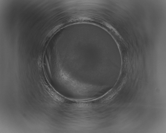 X0000073390785200608181002