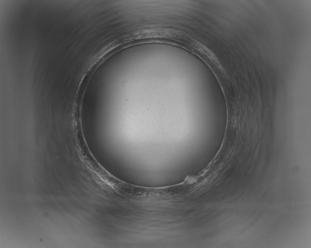 X0000073390786200608181002