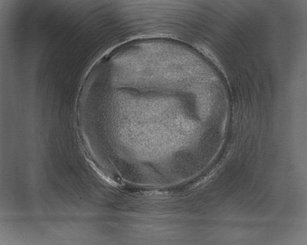 X0000073390789200608181002