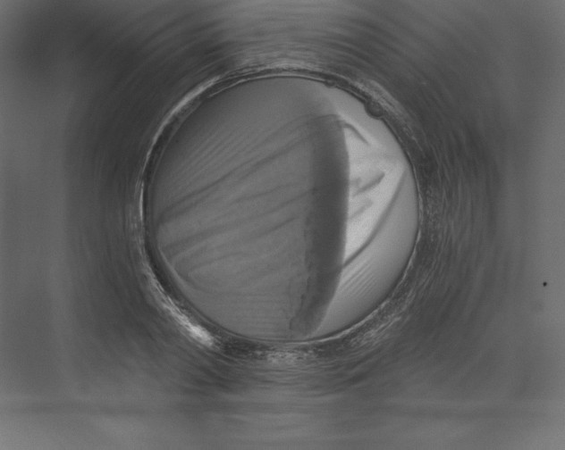X0000073390790200608181002