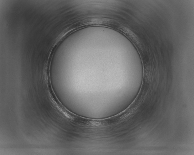 X0000073390794200608181002
