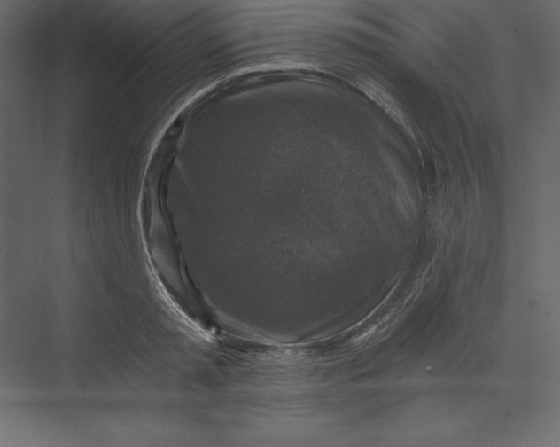 X0000073390797200608181002