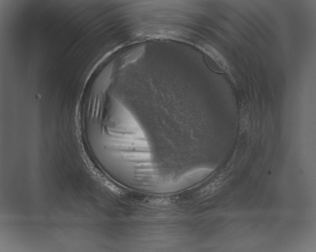 X0000073390798200608181002