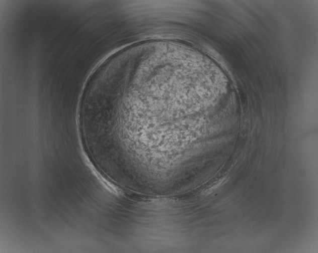 X0000073390803200608181002