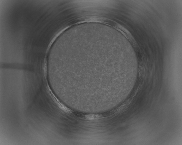 X0000073390804200608181002