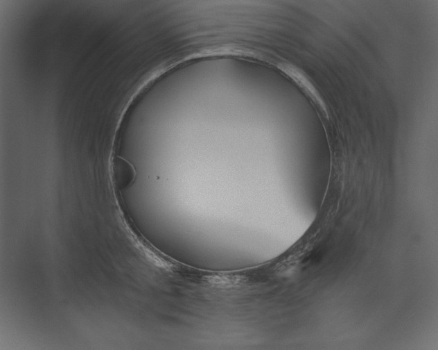 X0000073390805200608181002
