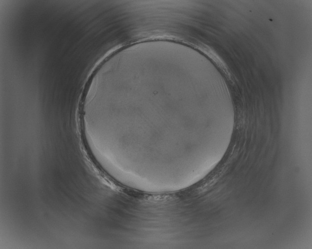 X0000073390806200608181002