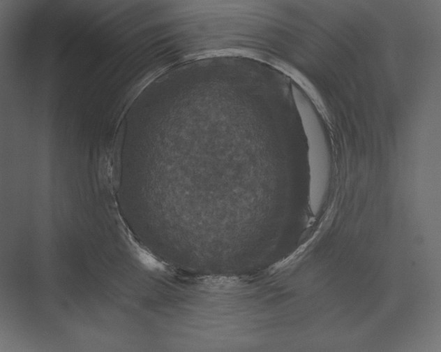 X0000073390809200608181002