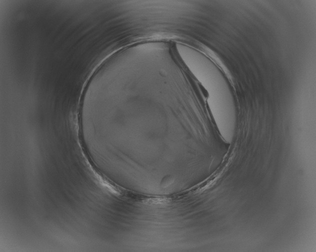 X0000073390810200608181002