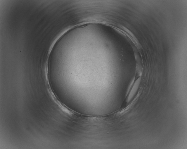 X0000073390812200608181002