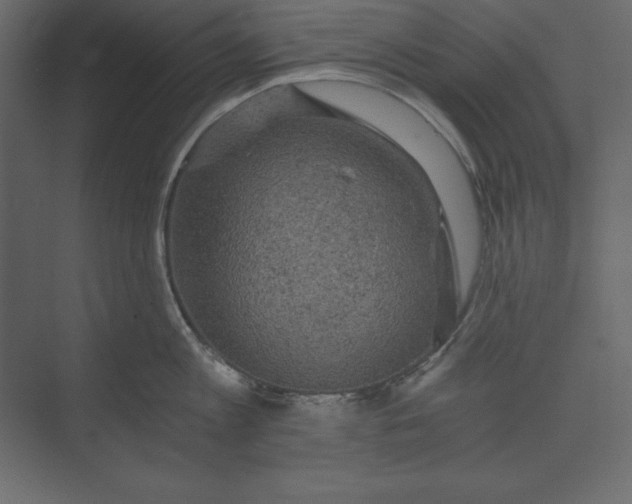 X0000073390813200608181002