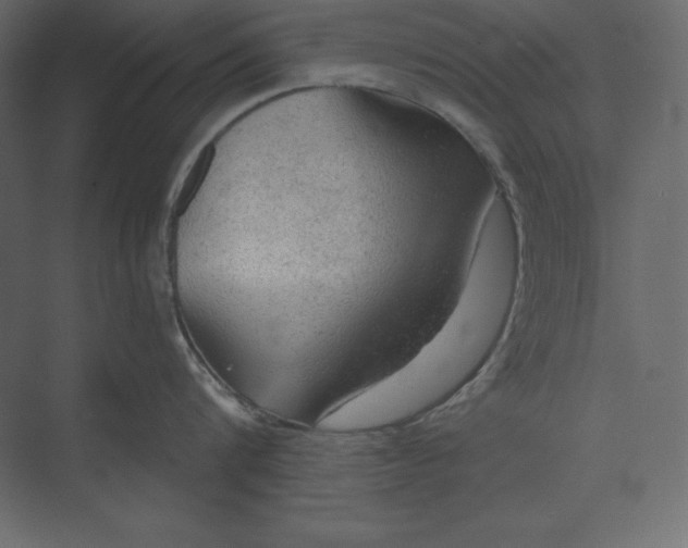 X0000073390816200608181002