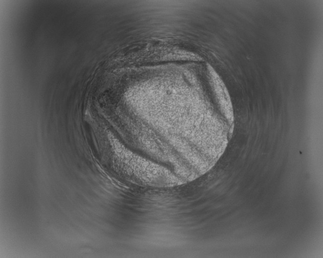 X0000073390817200608181001