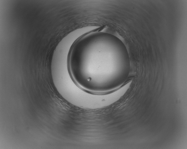 X0000073390818200608181001