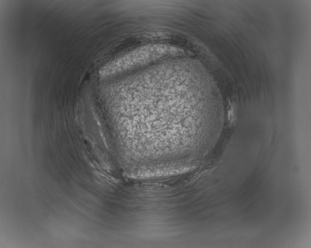 X0000073390819200608181001
