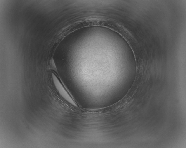 X0000073390821200608181001