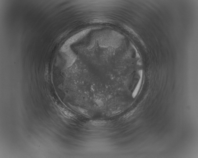 X0000073390825200608181001