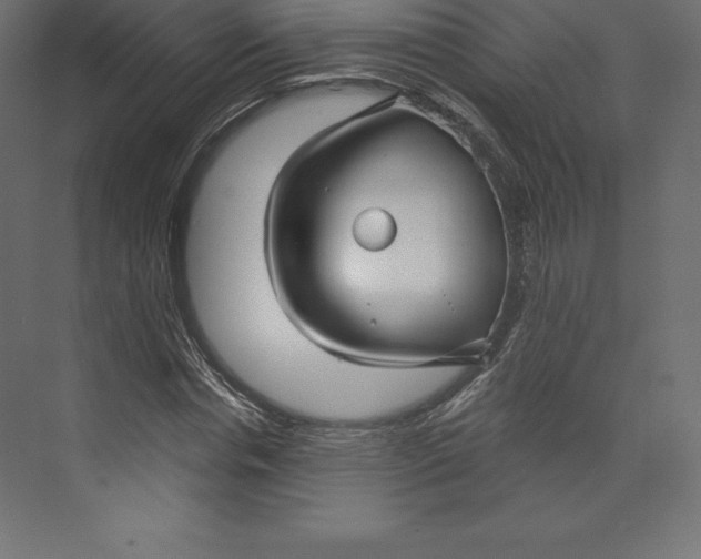 X0000073390826200608181001