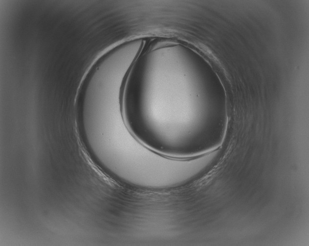 X0000073390838200608181001