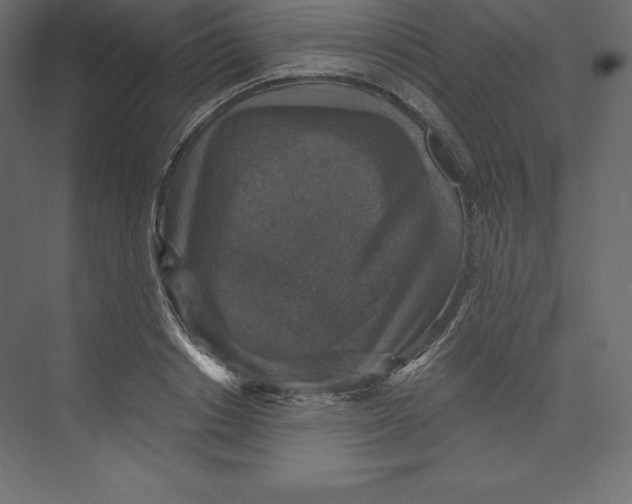 X0000073390842200608181001