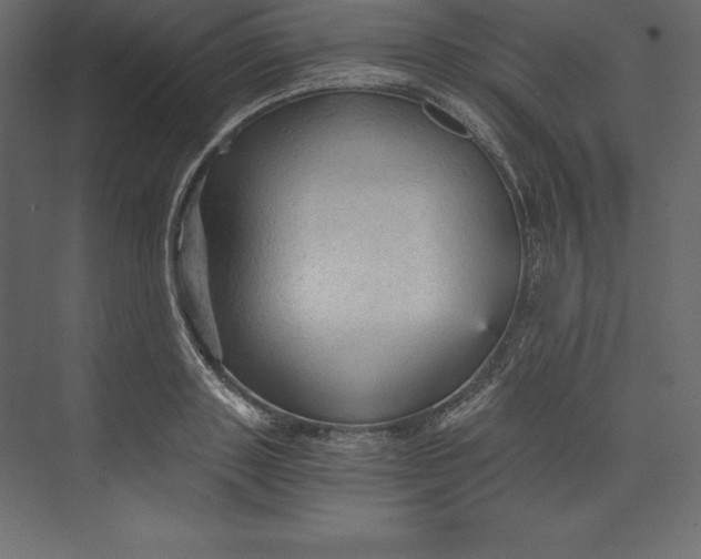 X0000073390843200608181001