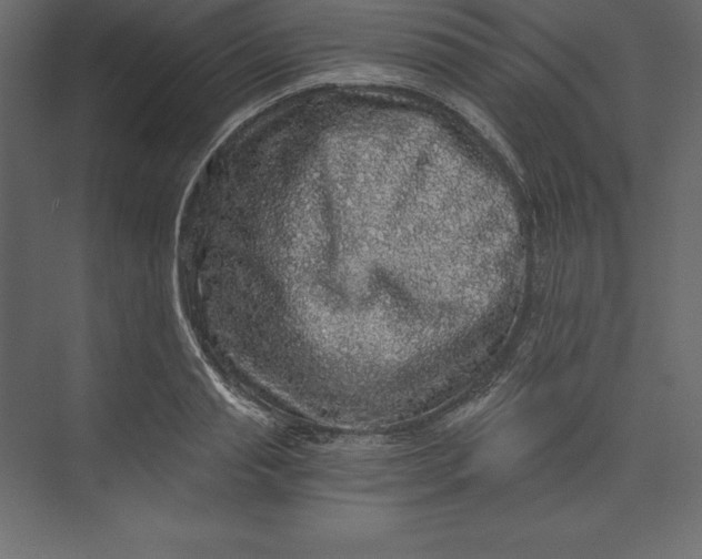 X0000073390845200608181001