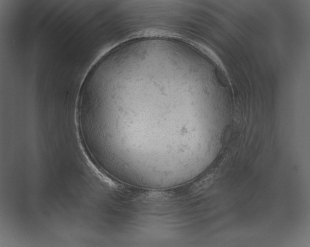 X0000073390847200608181001
