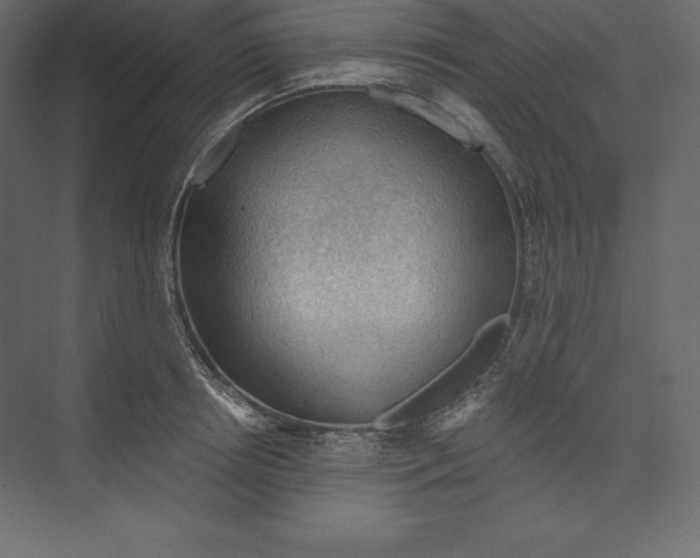 X0000073390850200608181001