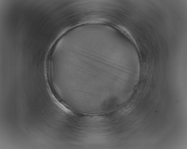 X0000073390851200608181001