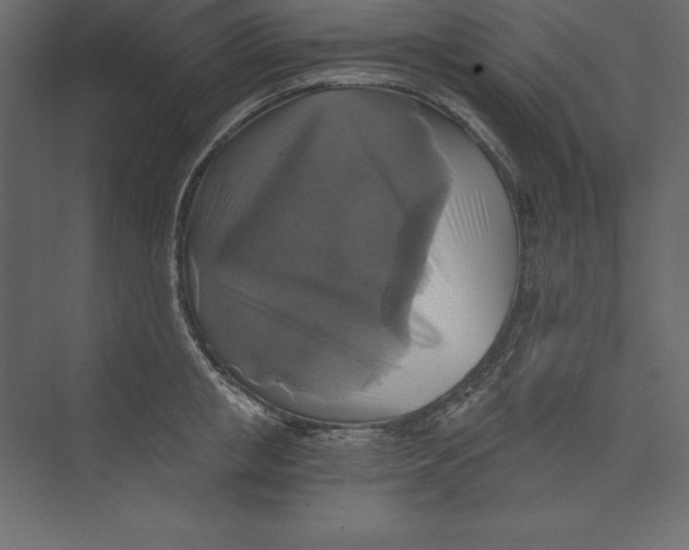 X0000073390853200608181001