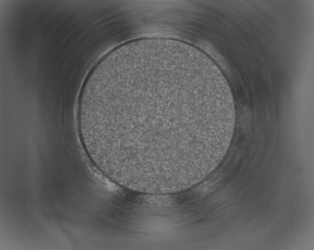 X0000073390856200608181001