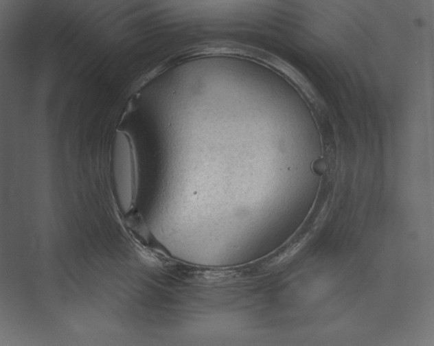 X0000073390857200608181001