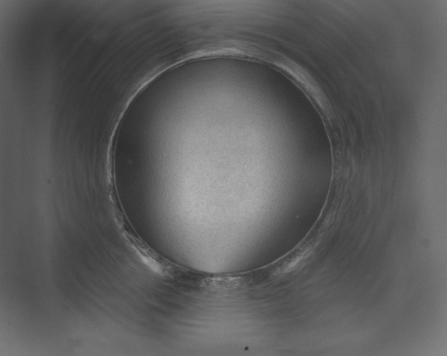X0000073390858200608181001