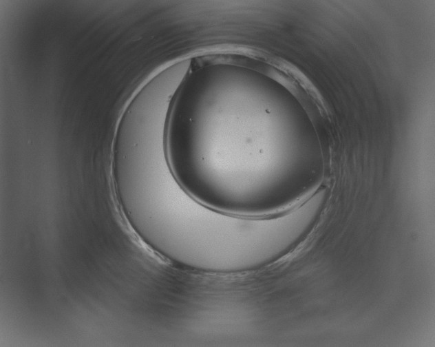 X0000073390860200608181001